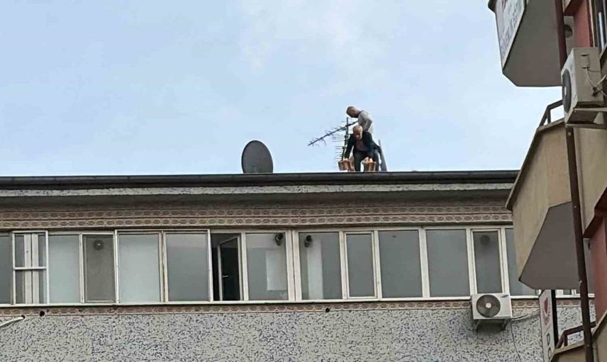 Elazığ'da 7 katlı binanın çatısında güvenlik önlemi olmadan çalışma yapıldı