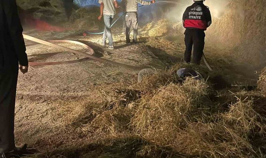 Van'da çıkan ot yangınında büyük hasar: 2 bin bağ ot kül oldu