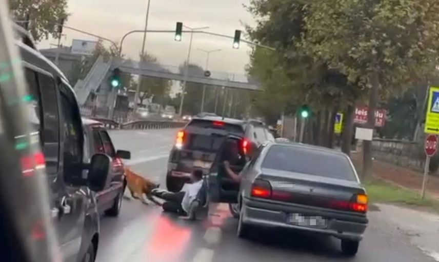 Sakarya'da köpek saldırısına uğrayan vatandaş yaşadığı anları paylaştı