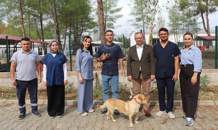 Orman yangınından kurtarılan hayvanlar yeni yuvalarına kavuştu