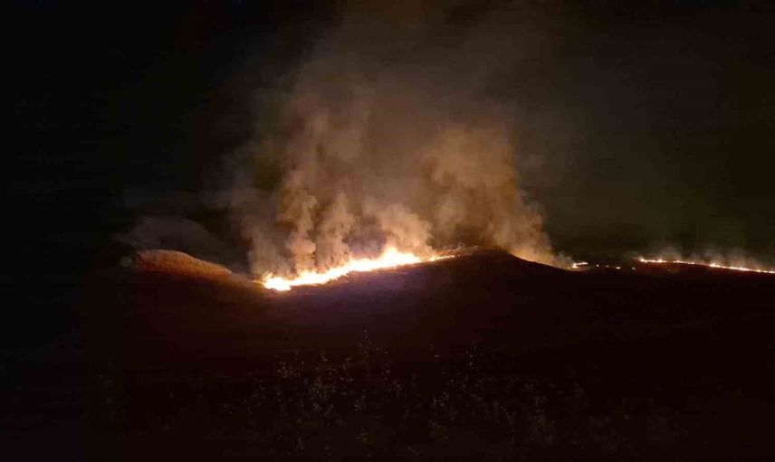 Adıyaman'da yangın felaketi: Anız yangını ağaçları tehdit etti