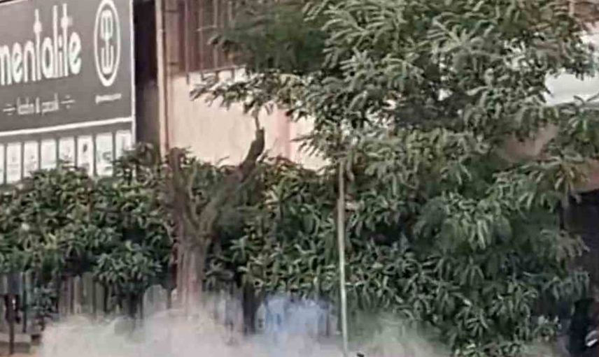 Gaziantep'te yol kenarındaki şüpheli çanta bomba imha uzmanları tarafından patlatıldı