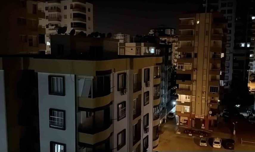 Adana'da cırcır böcekleri geceyi huzursuz ediyor