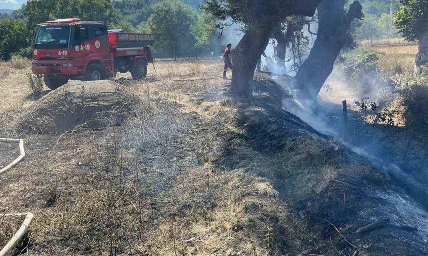 Kastamonu'da tarlada çıkan örtü yangını itfaiye ekipleri tarafından söndürüldü
