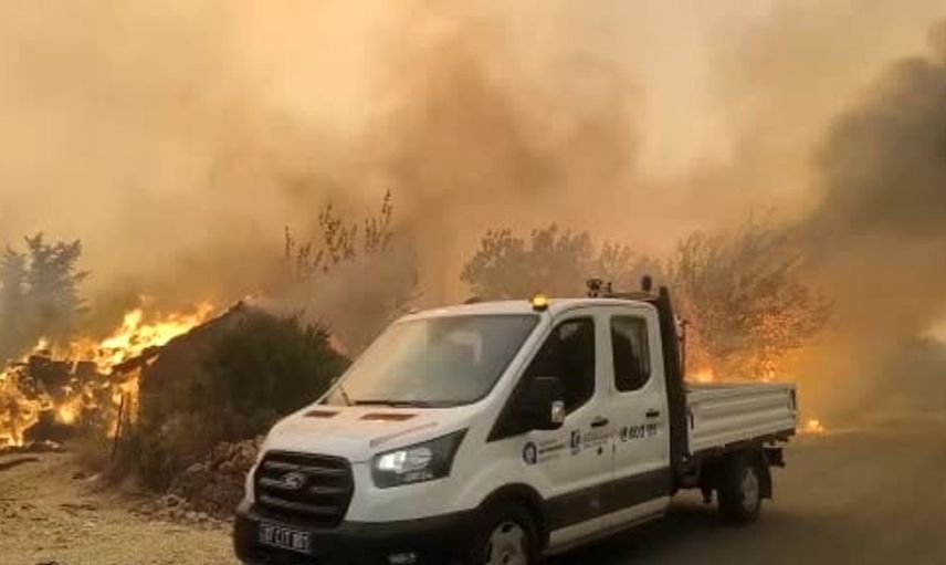 Koyunları alevlerin arasından kurtarmak için bir araya geldiler