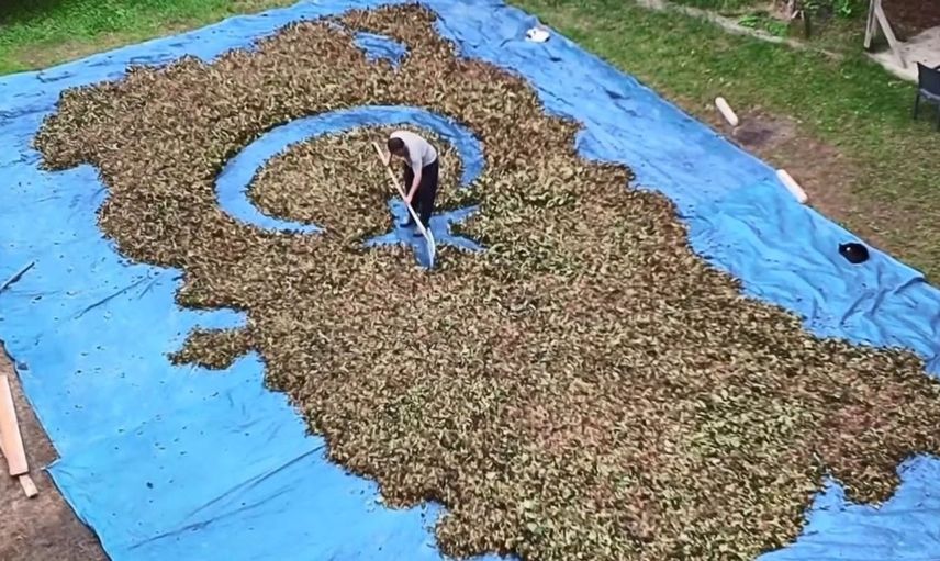 Fındıklarla sanatsal bir yolculuk: Adem Arslan'ın sıra dışı figürleri