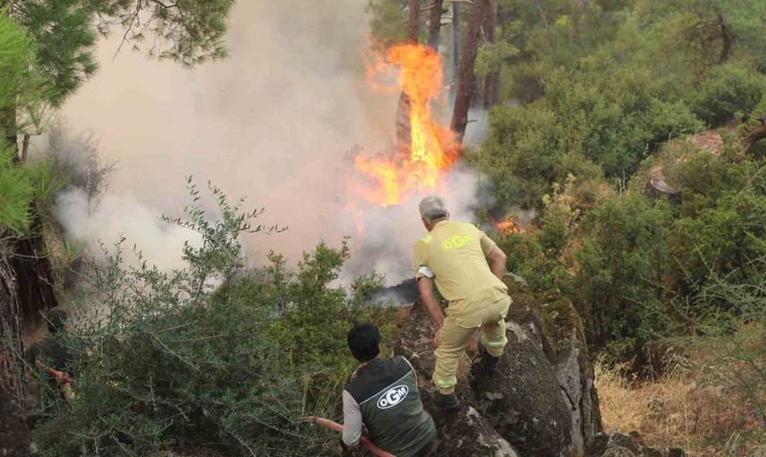 Aydın’da çıkan orman yangınında söndürme çalışmaları devam ediyor