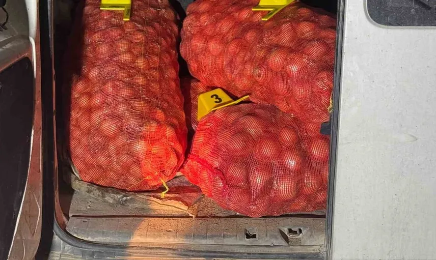 Jandarma, soğan hırsızlarını suçüstü yakaladı