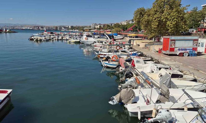 Tekirdağ'da sezonun ilk palamutları tezgahlarda: Balıkçıların umutları artıyor