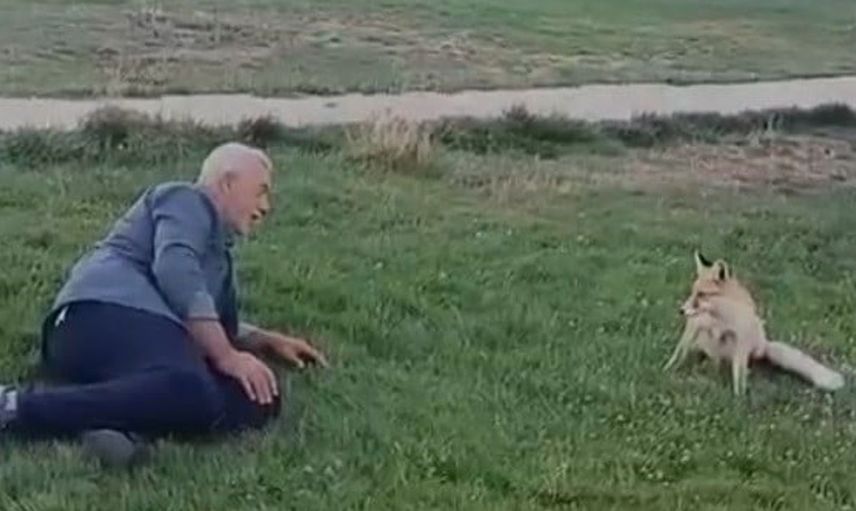 Bayburt'ta tilki dostluğu görüntülere yansıdı: Mikail Şeker'in sıra dışı anı