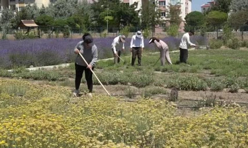 Van YYÜ’deki 300 tür bitkinin buluştuğu bahçe ziyaretçilerini mest ediyor