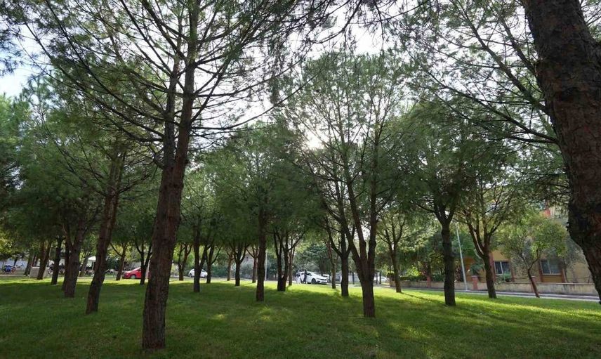 Manisa'daki parkların dönüşümü: çocuk oyun alanları ve spor alanları yenileniyor
