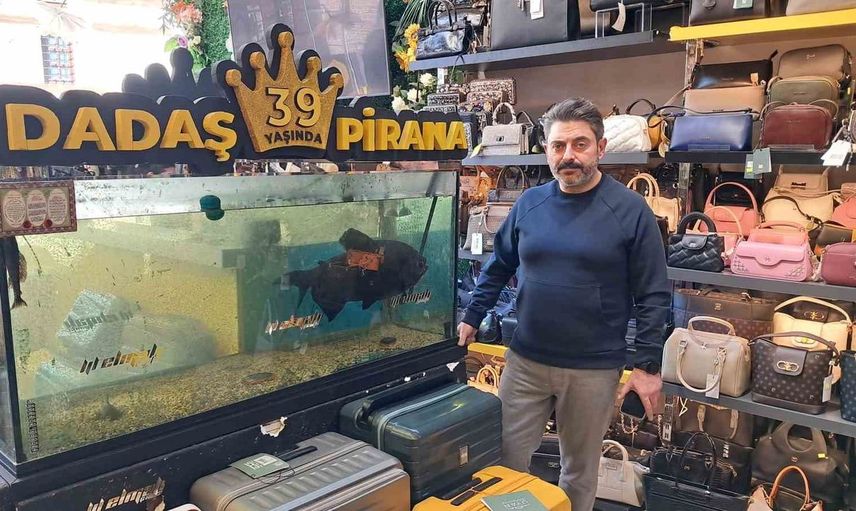 Erzurum'un efsanesi Dadaş Pirana 39 yaşında ve hala yaşıyor