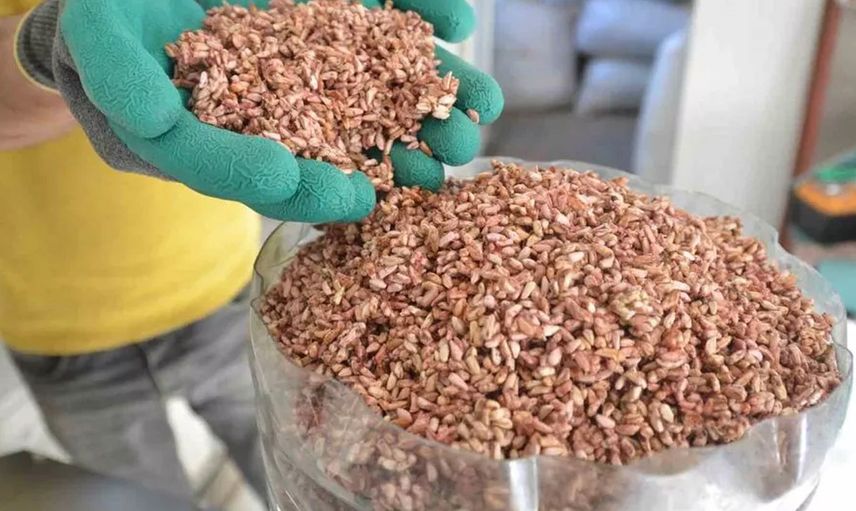 20 gramı 40 liradan satılıyor: İşte anti-kanser mucizesi olan yağ