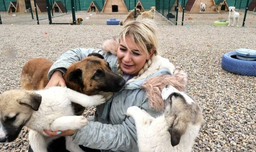 20 milyon TL'lik yardım parası ile vurgun! "Köpek velisi" Buket Özgünlü tutuklandı