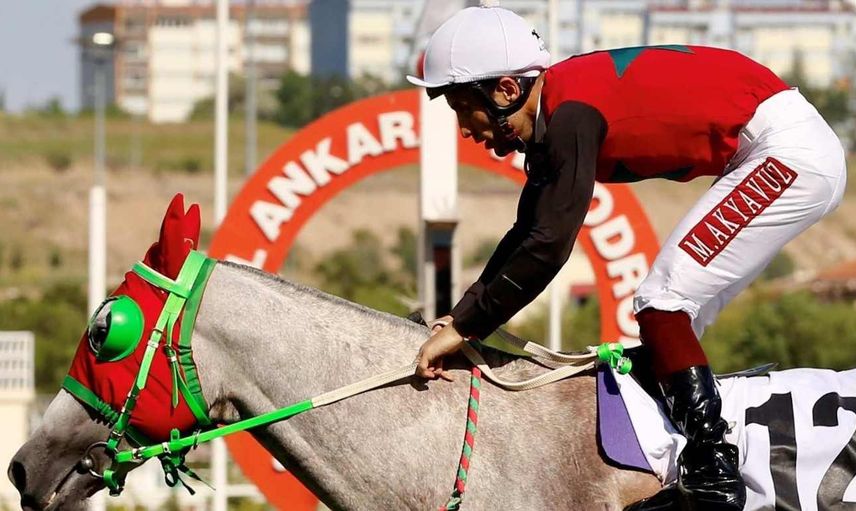 2022 96. Gazi Koşusu'na kayıt yaptıran atlar ve yarış tarihi