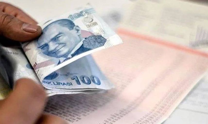 2022 Aile Destek Paketi ödemeli başladı mı? Aile Ödeme Paketi’nden kimler yararlanacak? 2022 Aile Destek Paketi başvuru ekranı