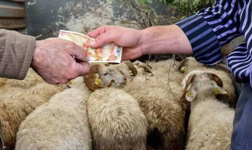 2022 Kurban Bayramı tatili kaç gün, uzatıldı mı? Bayram tatili birleşecek mi, 9 gün olur mu?