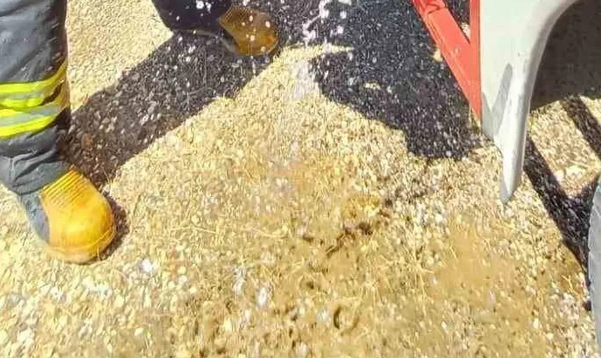 Yangın ortasında mahsur kalan kaplumbağayı itfaiye kurtardı