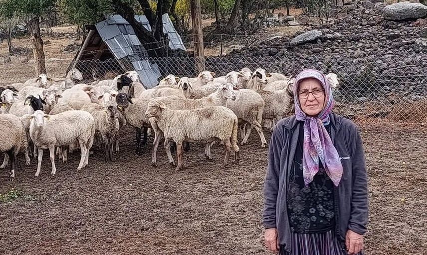 Bolu'da orman köylülerine yönelik projelerle ekonomik destek sağlandı