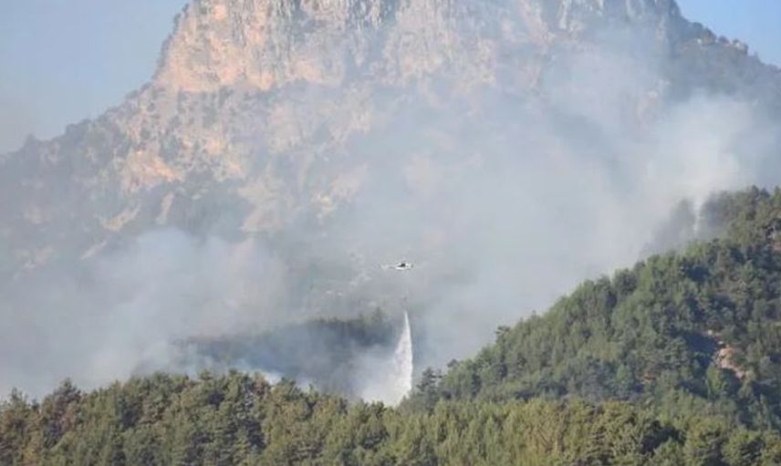 21 Şehirde Eş Zamanlı Orman Yangını