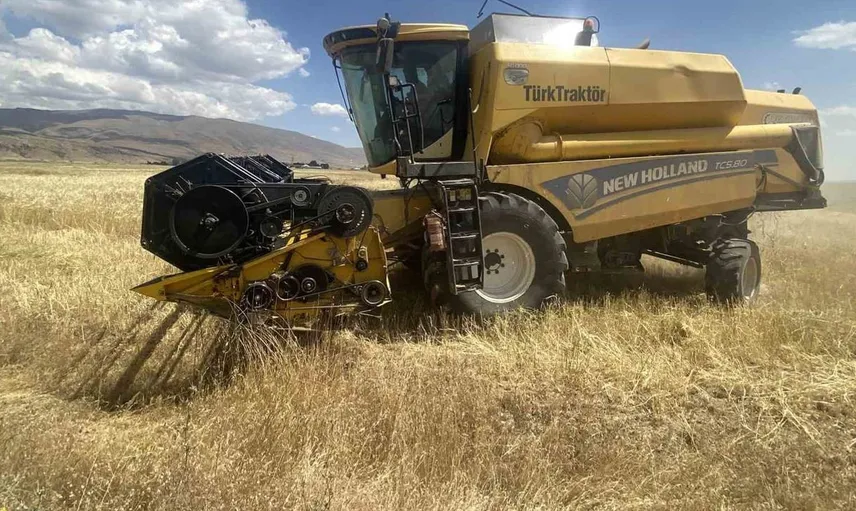 Ağrı'nın Patnos ilçesinde buğday hasadı hız kazanıyor