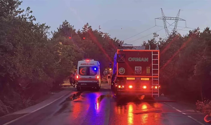 Kocaeli'de orman yangını kısa sürede kontrol altına alındı