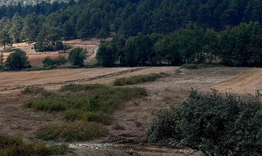 Kahramanmaraş'taki orman yangını ekiplerin müdahalesiyle söndürüldü