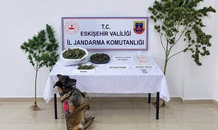 Eskişehir'de jandarmadan uyuşturucu operasyonu: 1 kişi tutuklandı