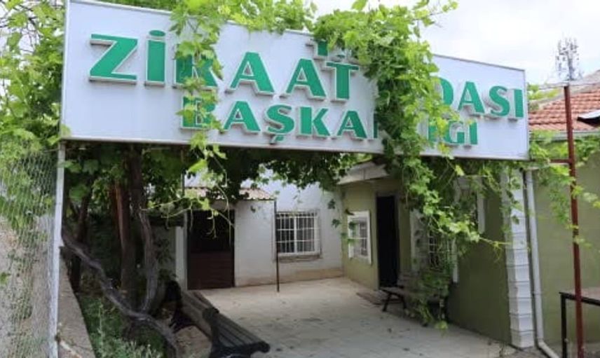 Kırşehir’de hububat hasadının yüzde 65’i tamamlandı