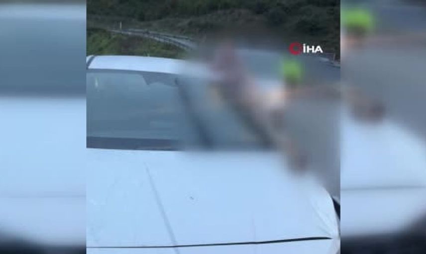 İstanbul’da kaza sonrası atın bacağı otomobile saplandı