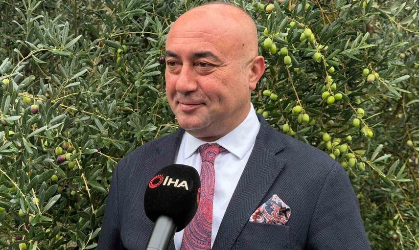 Zeytin rekoltesinde tarihi seviye bekleniyor: Marmarabirlik 60 bin ton alım yapacak