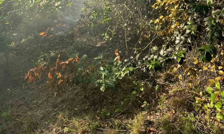 Zonguldak’ta boş arazide çıkan yangın ekiplerin müdahalesiyle söndürüldü