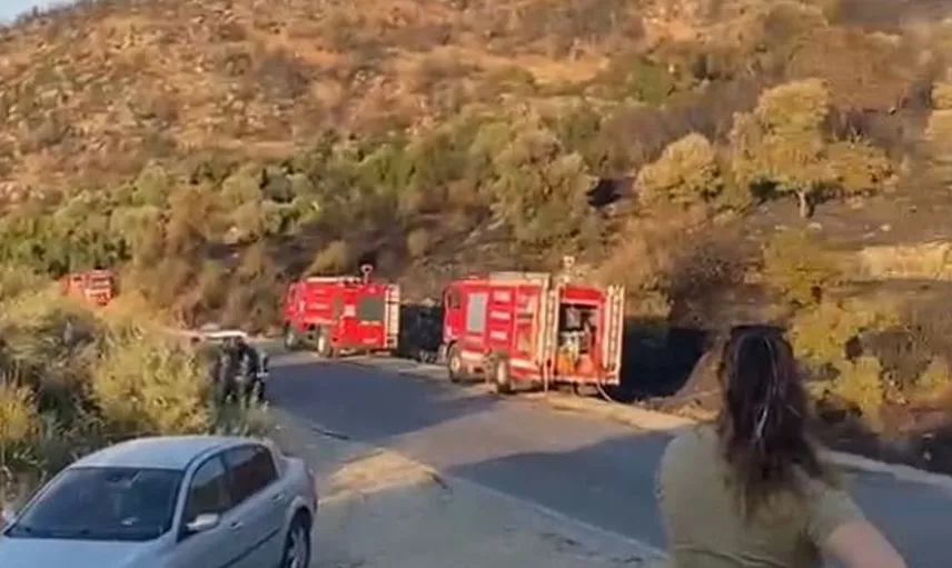 Söke'deki orman yangını alevler içinde kontrol altına alındı