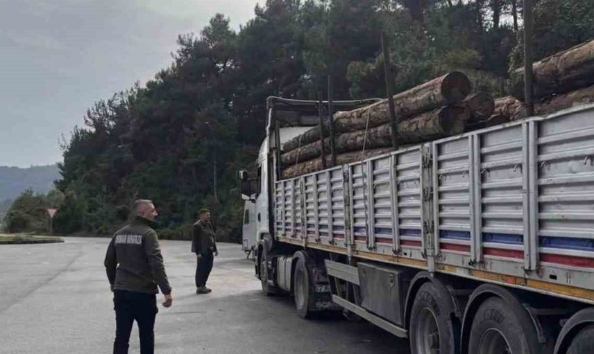 Sinop orman ekipleri, yasa dışı faaliyetlere karşı kesintisiz denetimlerde bulunuyor