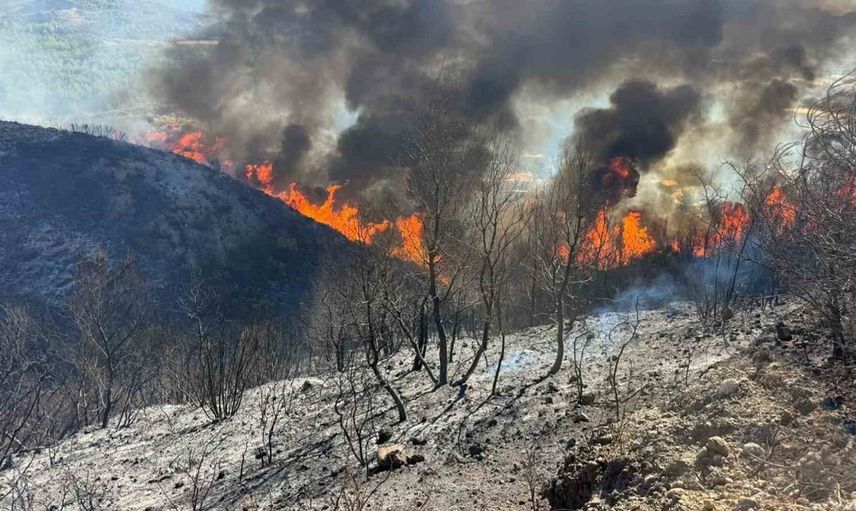 Küçük yürekli kahraman, yangından kurtardığı oğlağını sırtında taşıdı