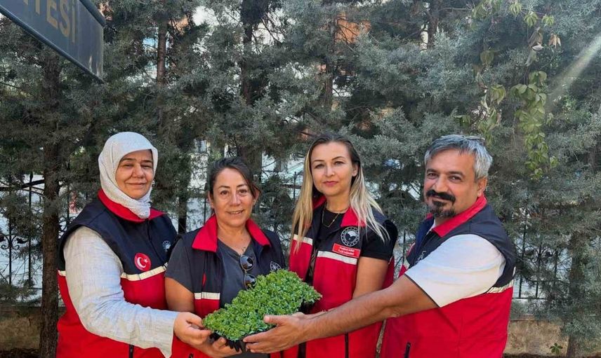 Burhaniye’de çiftçilere marul fideleriyle destek artıyor