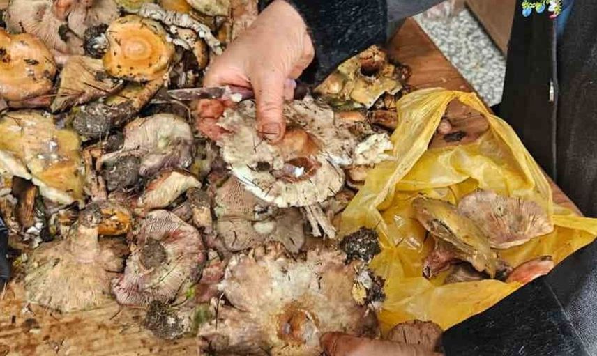 Andırın dağları sonbahar bereketiyle dolup taşıyor