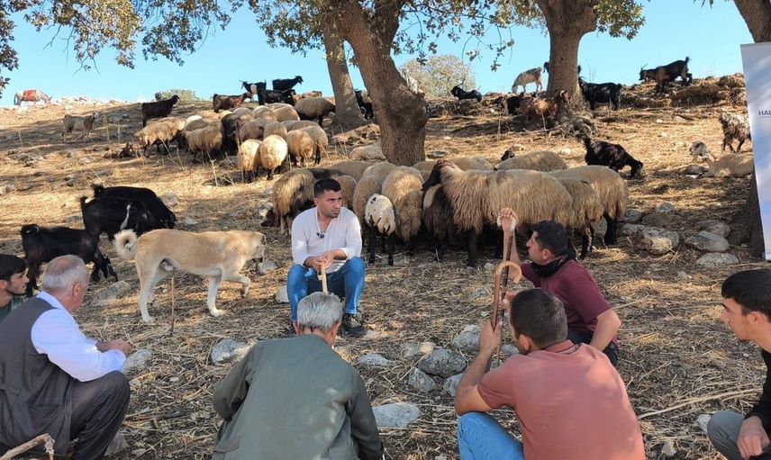 Şırnak’ta çobanlara uygulamalı sürü yönetimi eğitimi veriliyor