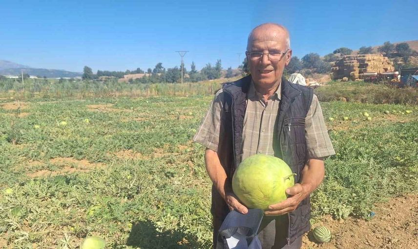 Manisalı çiftçi ata tohumu karpuzu yaşatmaya devam ediyor
