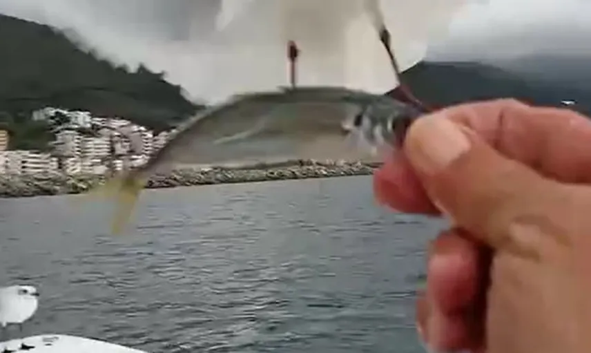 Esenköy'de balıkçı ve martılar arasındaki dostluk görüntülendi