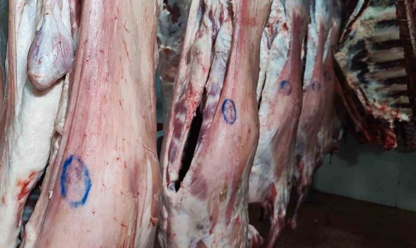 Adana'da mühürsüz et tehlikesi: Kaçak kesimlere dikkat