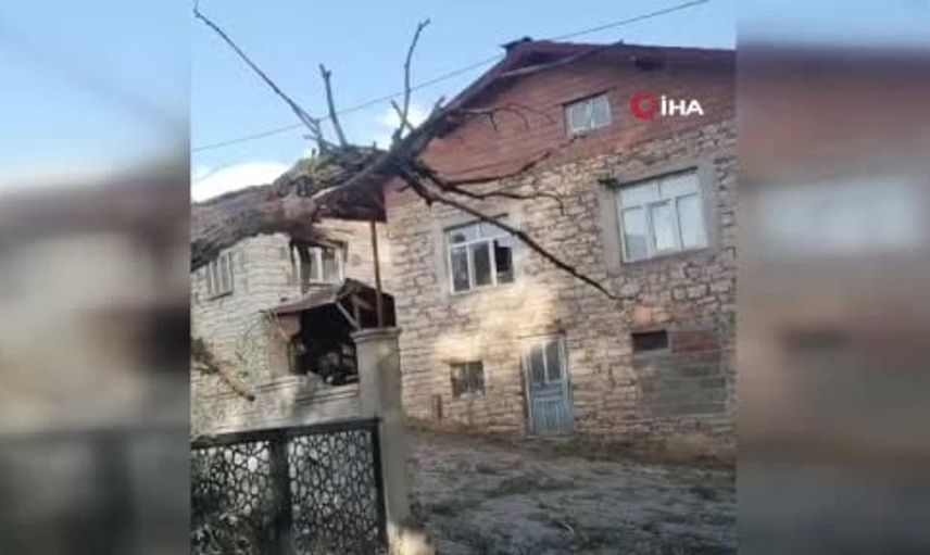 Beyşehir'de kuvvetli rüzgar ağaç devirdi, otomobil hasar gördü
