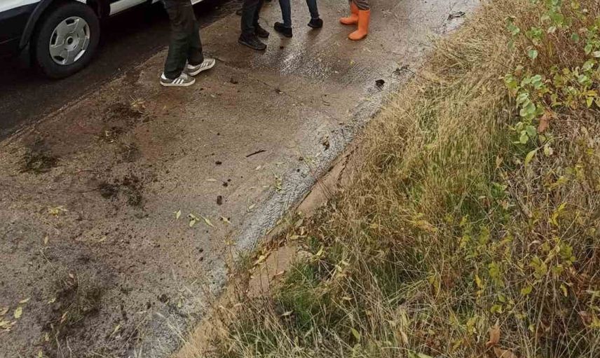 Bingöl’de trafik kazası meydana geldi: 2 yaralı hastaneye kaldırıldı