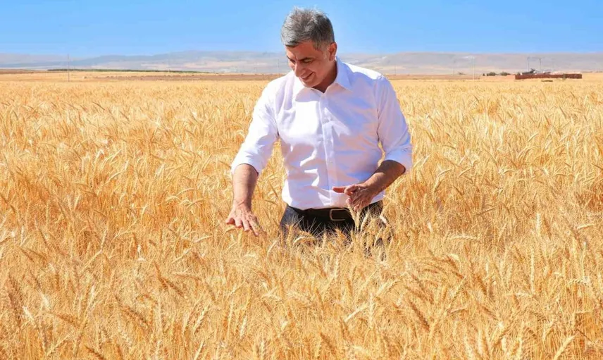 ETİ, kuraklığa direnen yerli Kanatlı Buğdayı’nın ilk hasadını kutladı