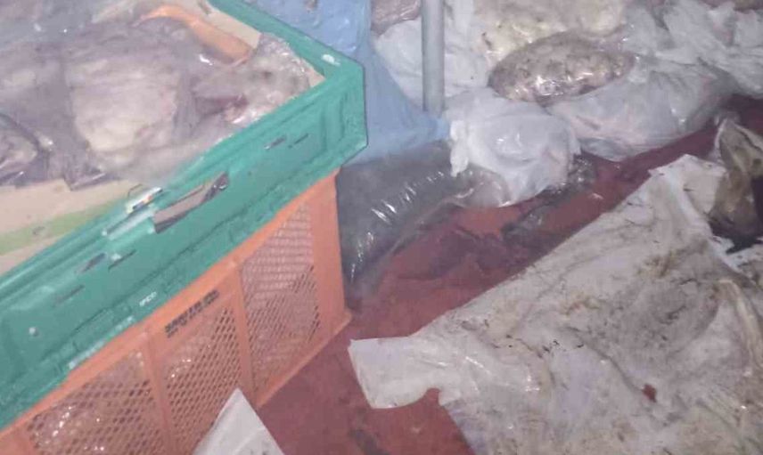Bodrum'da kötü koku ihbarı üzerine 400 kilo bozuk et ele geçirildi
