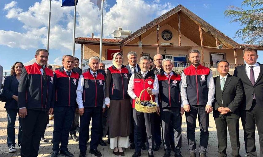 Üzümde rekolte artışı bekleniyor: 3 milyon 850 bin ton üretim hedefleniyor