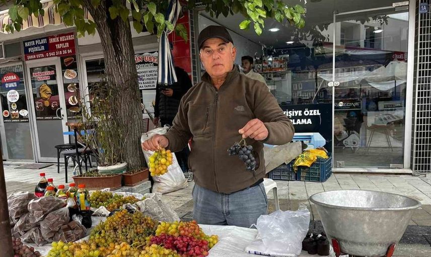 Denizli'de organik lezzet: Haydar üzümleri tezgahlarda