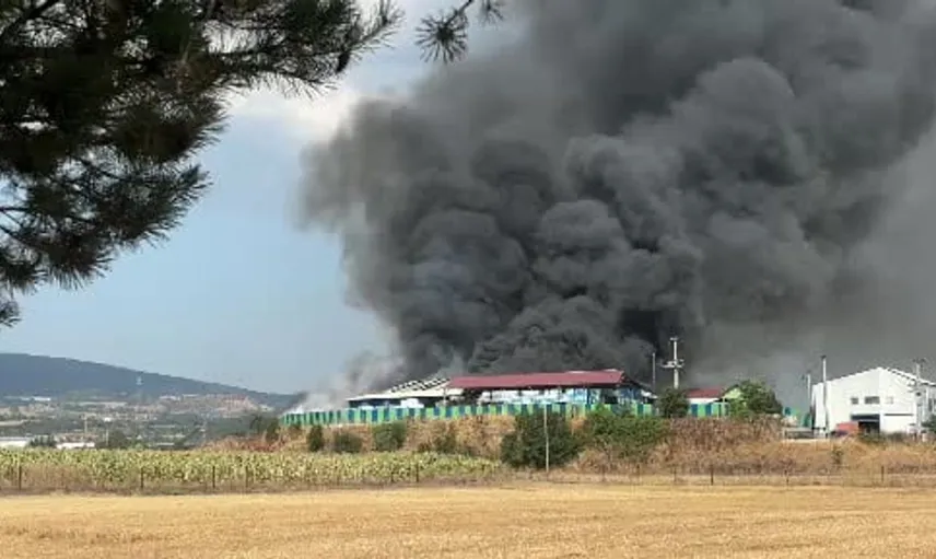Bolu'daki geri dönüşüm tesisinde yangın paniği: İtfaiye ekipleri müdahaleye başladı