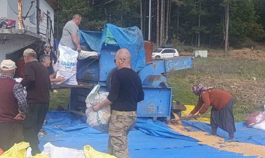 Andırın’da yerli mısır hasadı ile imece kültürü yeniden yaşatılıyor
